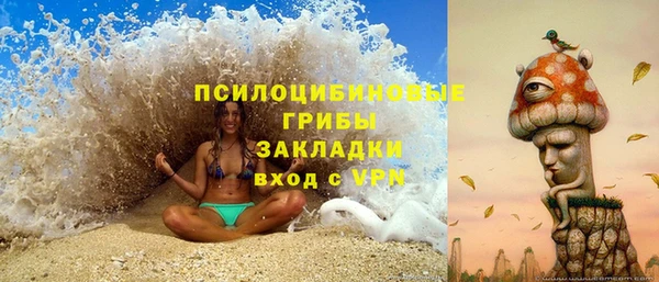 хмурый Абаза