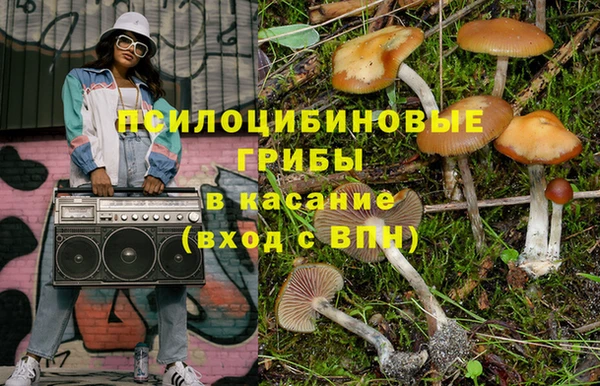 хмурый Абаза