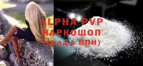 хмурый Абаза