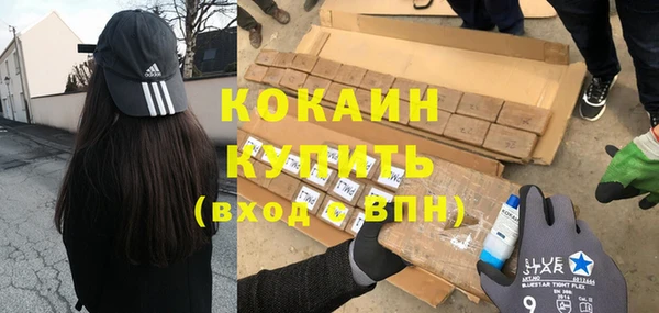 хмурый Абаза