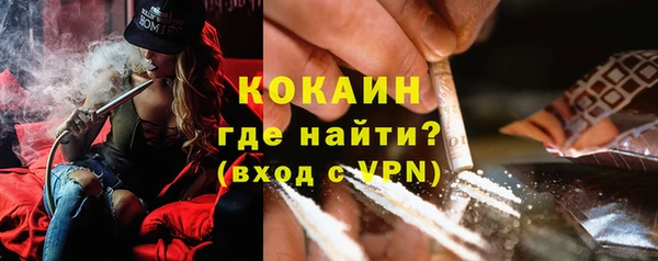 хмурый Абаза
