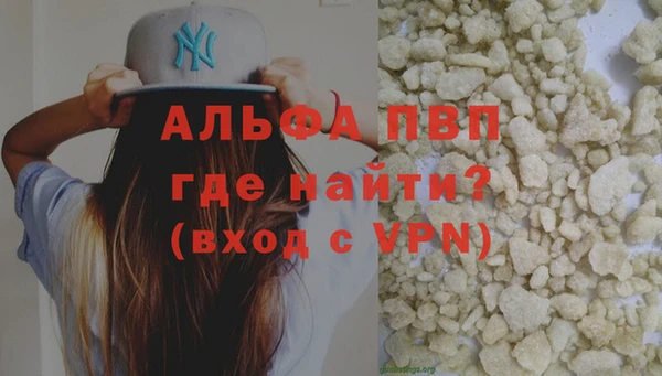 хмурый Абаза