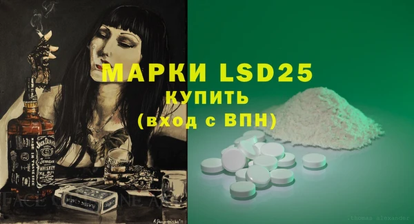 хмурый Абаза