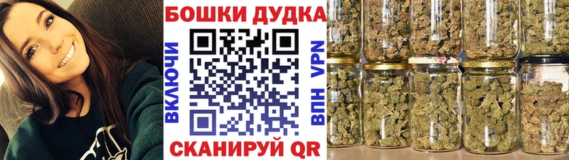 Каннабис сатива  Чулым 